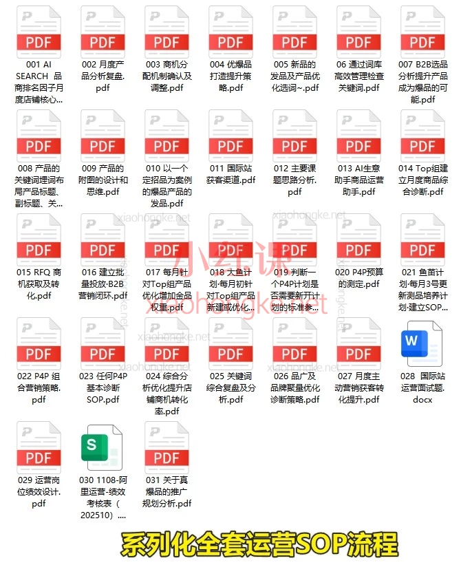 🔥 小白也能学会！2025年11月份张国儒（儒说）国际站高薪运营都在上的“优质买家增长”实战课（附全套资料）