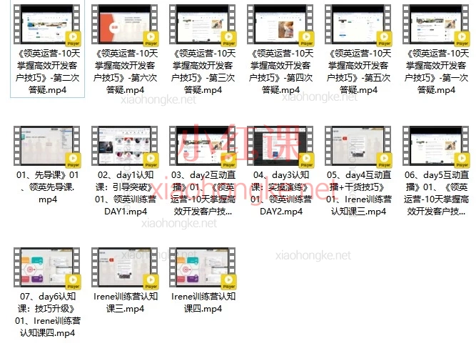 lrene领英运营-10天掌握高效开发客户技巧｜系统训练营