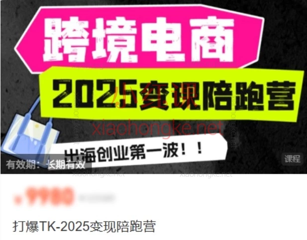 职场B计划阿耀-打爆TiktoK-2025变现陪跑营🔥普通人跨境起号指南+变现全拆解!