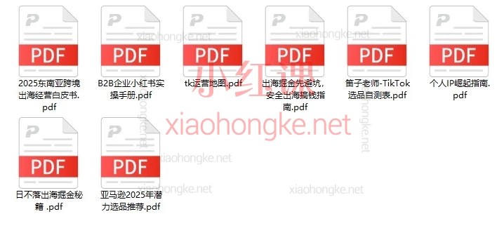 笛子姐/肖厂长：全球IP星计划日不落出海跨境出海闭门课精华｜4天解锁跨境出海财富密码！