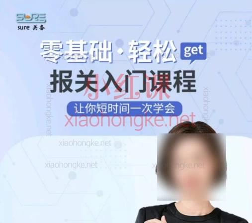 sure张老师报关入门实操课程,从小白到独立操作,一套课搞定全流程实操