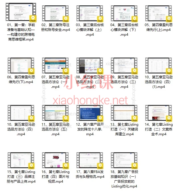 丝丝老师-跨境电商亚马逊实战课|零基础到进阶,小白也能玩转跨境电商!