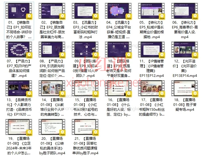 谢胜子·个人影响力打造课｜2026全新体系｜小白到高手的IP炼金术