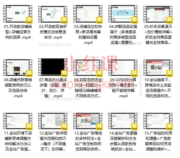 梦凡老师·Shopee虾皮高阶运营课程，2024-2025系统实战，从0到爆款闭环全解！