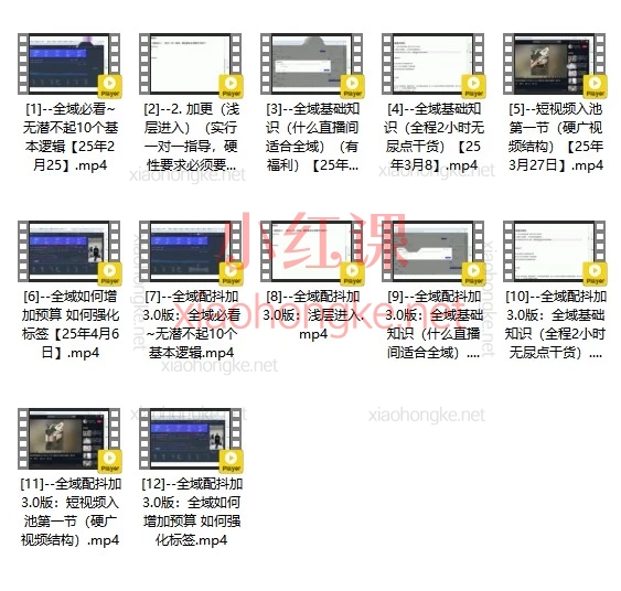 蚂蚁店主-蚂蚁无潜不起全域配抖加3.0入池课，小白也能搞懂流量密码！