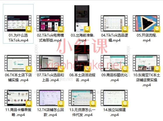 TikTok跨境电商从0到1实战指南，手把手带你爆单出海