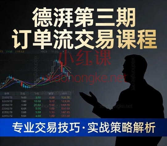 德湃第三期订单流交易课|从小白到实盘,一套课搞定!