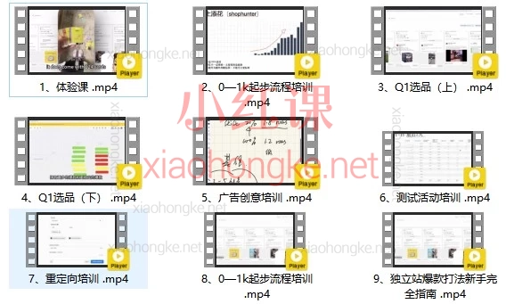独立站爆款打法·从0到1的实战运营体系