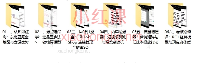 Demo老师·东南亚5国TikTok Shop运营课:从0到1掌握爆单闭环,抢占跨境新红利