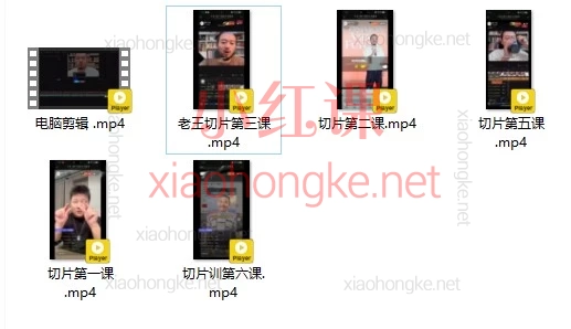 2026胡说老王抖音切片训练二期,7天切片实操训练营|带你从0到1,真正学会抖音切片变现