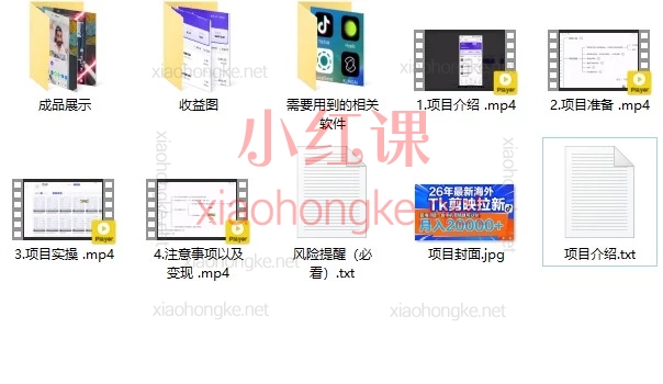 海外Tk剪映拉新掘金｜飞哥TikTok，蓝海项目手把手带你上车！