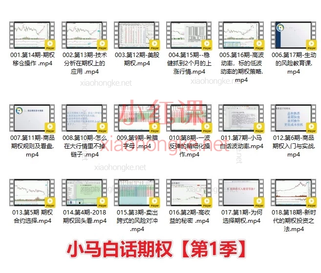从期权新手到实战高手！小马白话期权1-4季，带你玩转期权交易！