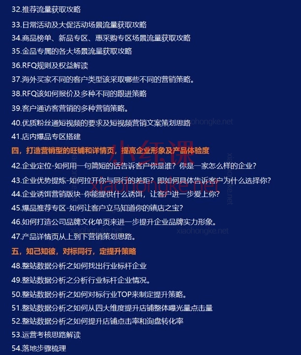 大钟老师手把手带你玩转阿里国际站！《阿里巴巴国际站高级进阶系统运营培训精品课程》全36讲