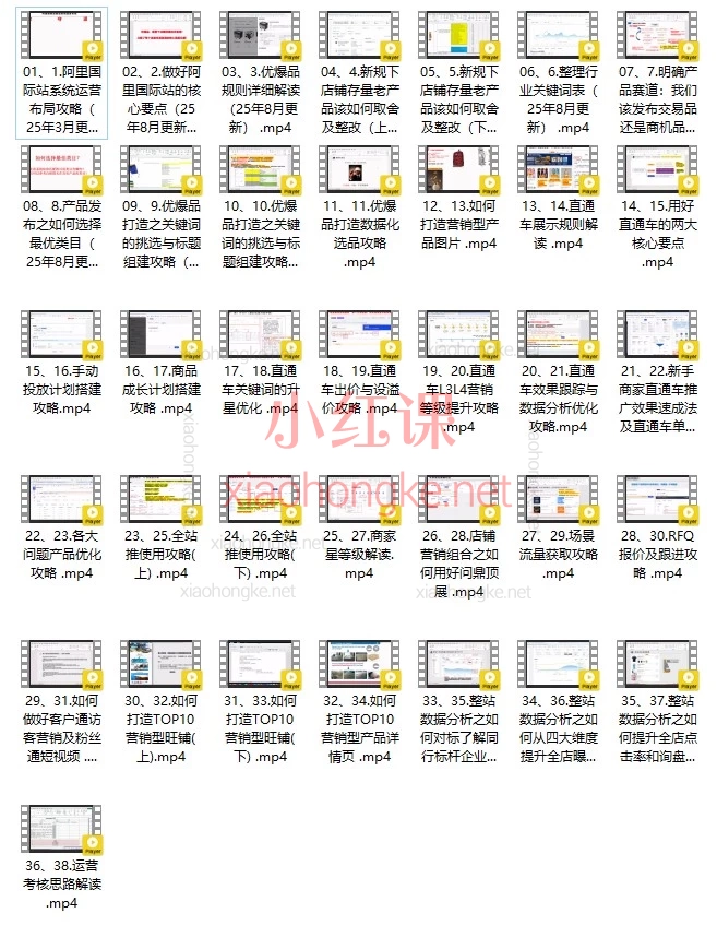 大钟老师手把手带你玩转阿里国际站！《阿里巴巴国际站高级进阶系统运营培训精品课程》全36讲