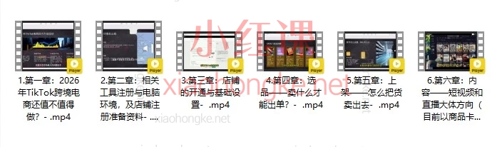 2026年做TikTok电商晚不晚?新手保姆级启航课!从0到1的务实掘金指南