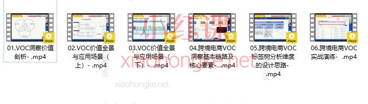 做跨境电商别再“自嗨”了!VOC洞察教你听懂用户的真心话!