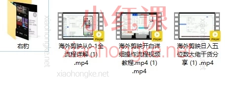 Tiktok剪映+右豹APP实操变现课：短剧/小说/知乎故事全攻略，手把手教你视频副业赚钱