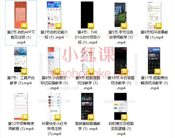 Tiktok剪映+右豹APP实操变现课：短剧/小说/知乎故事全攻略，手把手教你视频副业赚钱