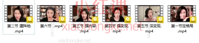 2026张萌视视频号实战训练营高阶班变现全攻略｜6大模块，手把手带你吃透红利，把流量变销量！