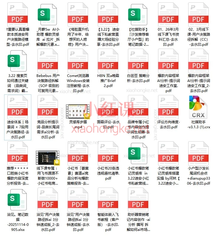 《迪安小红书全域增长实战课（2026版）：AI驱动的用户决策路径与爆款内容体系》