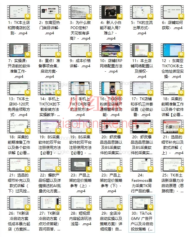 2026三叔TikTok东南亚本土店实操陪跑课：从0到1开店、冷启动、爆单全攻略
