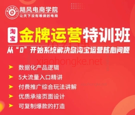 2026淘宝运营怎么学？这套飓风电商课真的绝了