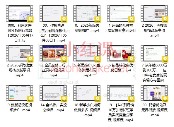 2026淘宝运营VIP课|从0到月销10万的全链路玩法