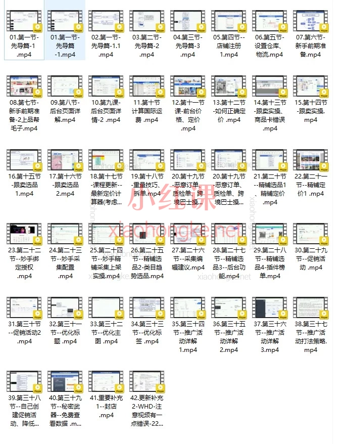 OZON大师兄的店铺:入门到精通跨境自发货(RFBS)、跟卖与精铺全链路实战