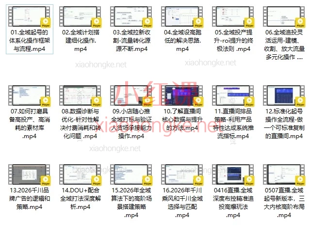 2026二占全域电商进阶课|千川投流+直播间起号实战