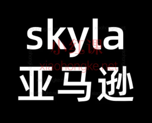 2026skyla亚马逊全阶课|0→1打造爆款|2026最新运营SOP(含AI玩法)