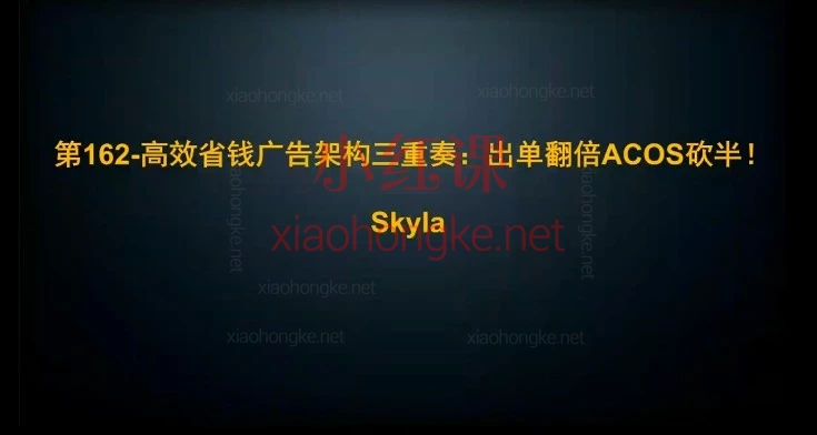 2026skyla亚马逊全阶课｜0→1打造爆款｜2026最新运营SOP（含AI玩法）