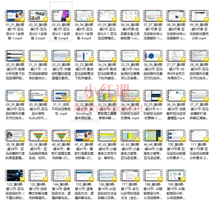 第6期米亚亚马逊陪跑孵化营:0-1全流程实战课(含AI选品/运营/爆款打造)