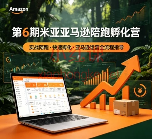 第6期米亚亚马逊陪跑孵化营：0-1全流程实战课（含AI选品/运营/爆款打造）