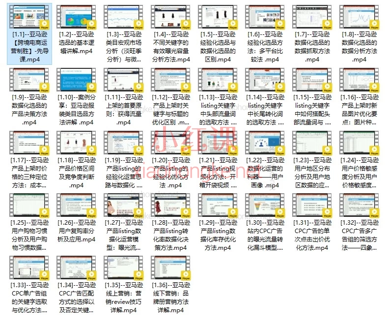 亚马逊跨境电商运营制胜班|全链路实战课,搞懂流量+转化+广告!