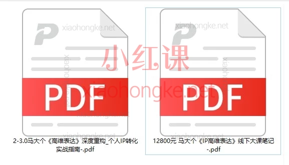 马大个IP高维表达｜做IP别再死磕流量了，全套12800元线下大课笔记