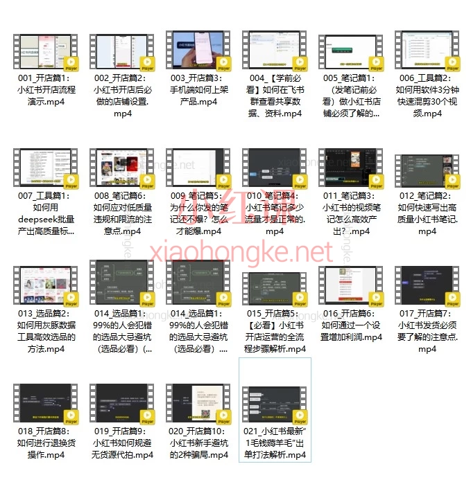 2026月亮小红书电商保姆级教程|0-1起店全攻略,新手看完直接落地!
