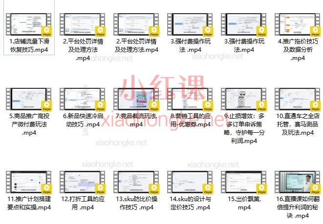 2026拼多多运营破局指南｜华生私教课：从0-1搞定流量+利润+防比价