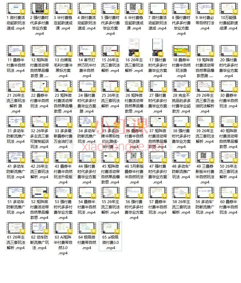 2026缥缈拼多多运营全套保姆级教程|从起店到爆单,强付费+半自然+AI矩阵一网打尽!