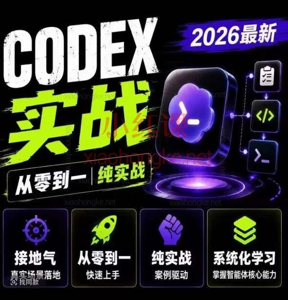 用AI智能体接单搞钱!迪哥Codex课,从0到1搭建自动化系统
