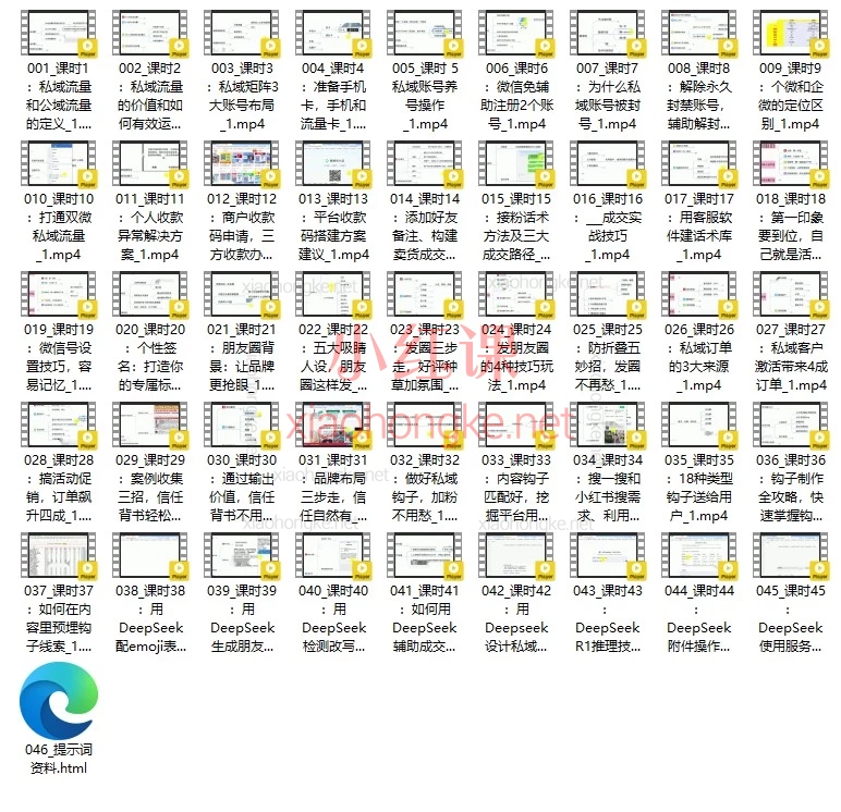 从0搭建到AI自动成交:私域流量钩子矩阵实操手册(45节精讲)