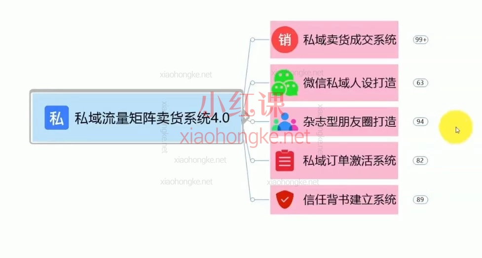 从0搭建到AI自动成交：私域流量钩子矩阵实操手册（45节精讲）