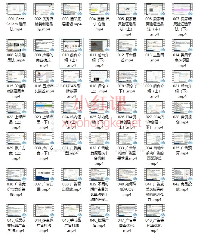 亚马逊全流程体系课：选品+运营+广告0-1保姆级教程