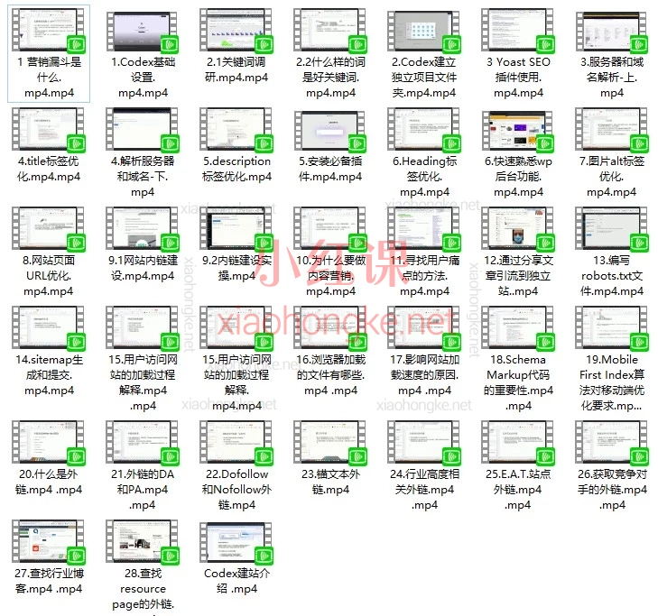 Codex建站+SEO全流程｜从0到1打造高转化独立站：手把手教你吃透Google流量