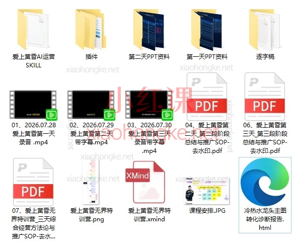 2026爱上黄昏无界特训营AI推广实战内部资料大起底!