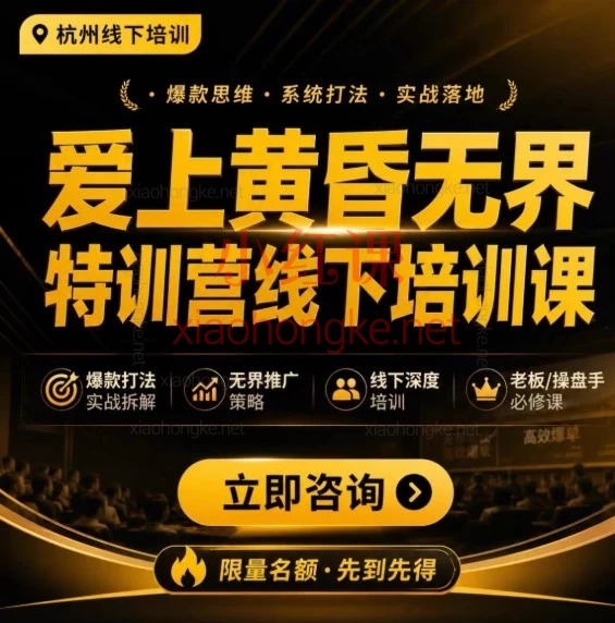 2026爱上黄昏无界特训营AI推广实战内部资料大起底!