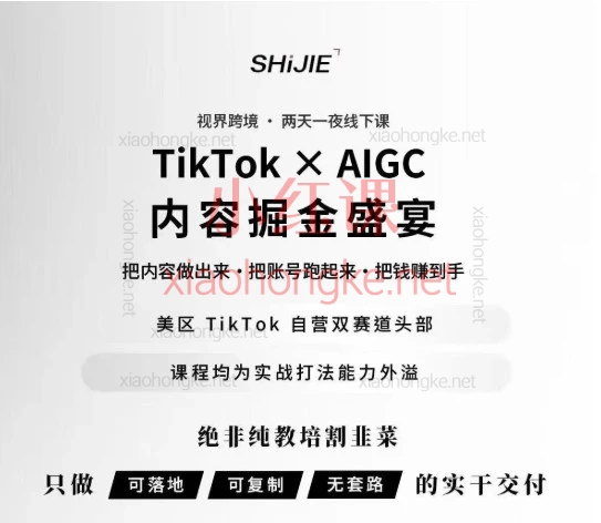2026视界跨境TikTok X AIGC| AI短视频内训课(精准选品+爆款复制)2天搭建稳定出单的内容体系