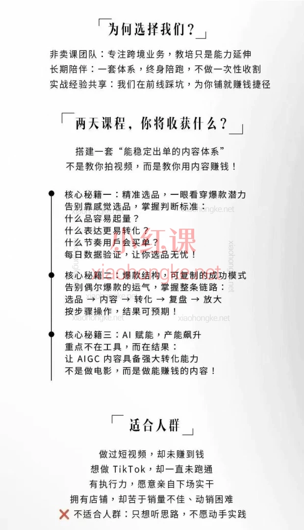 2026视界跨境TikTok X AIGC| AI短视频内训课（精准选品+爆款复制）2天搭建稳定出单的内容体系