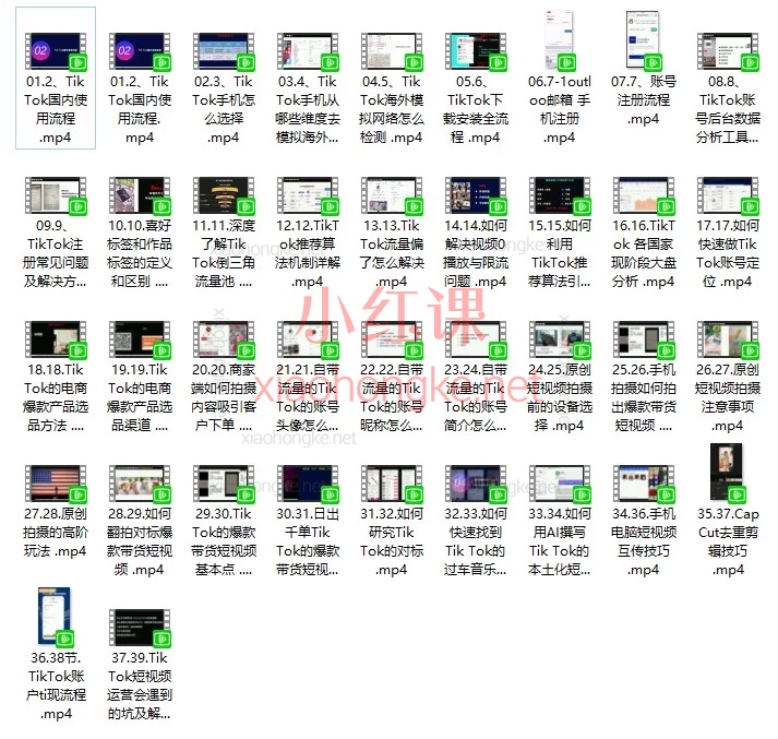TikTok海外带货实战营|0基础保姆级教程,从搭建到日出千单全揭秘!