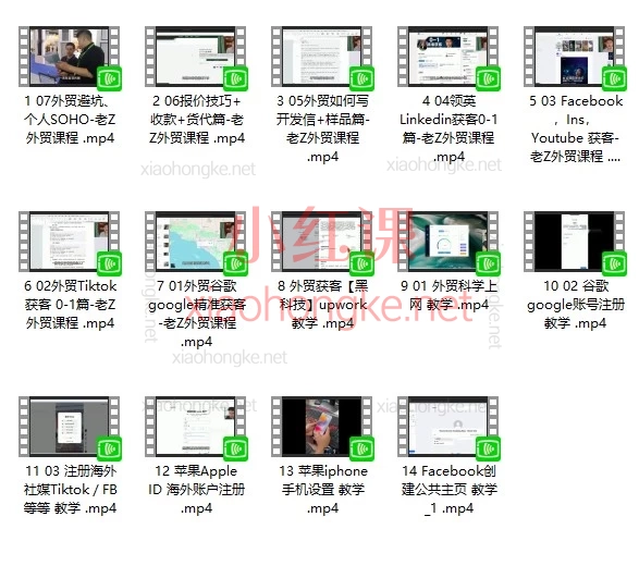 老Z外贸自媒体+实战获客训练营|14节实战课搞定谷歌/TikTok/领英获客