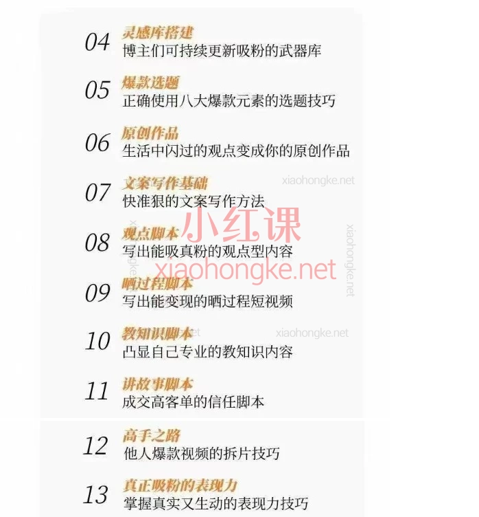 大元子直销5.0短视频IP成交系统｜29节体系课，搭建账号·内容·运营三大支柱